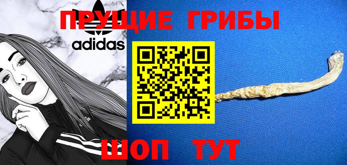 Псилоцибиновые грибы GOLDEN TEACHER Новотроицк